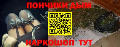 mdpv Заводоуковск