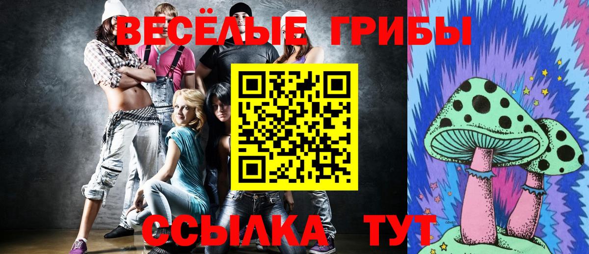Псилоцибиновые грибы Cubensis Бирск