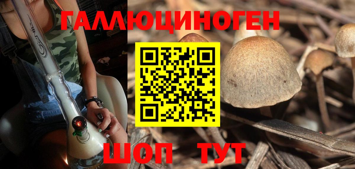 Псилоцибиновые грибы Psilocybine cubensis  Вход с VPN  даркнет сайт  Бирск 